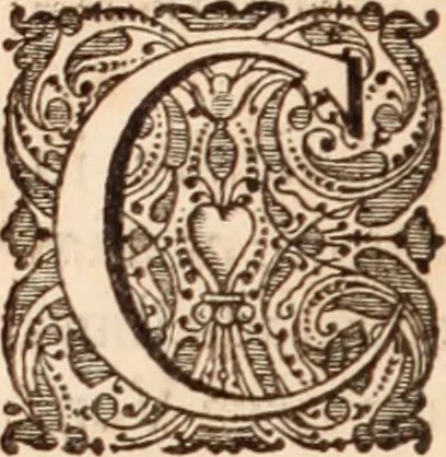 An illustration from Adriani Spigelii Bruxellensis, 1645, leaf 323