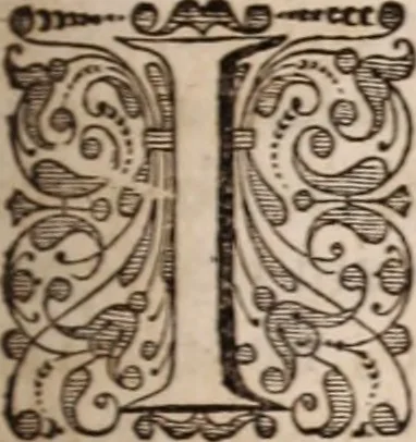 An illustration from Adriani Spigelii Bruxellensis, 1645, leaf 326