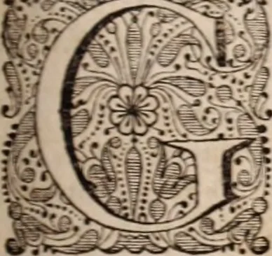 An illustration from Adriani Spigelii Bruxellensis, 1645, leaf 330