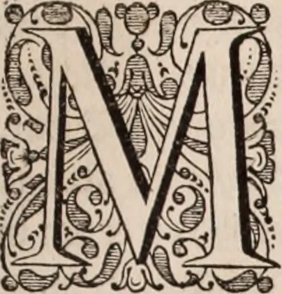 An illustration from Adriani Spigelii Bruxellensis, 1645, leaf 34