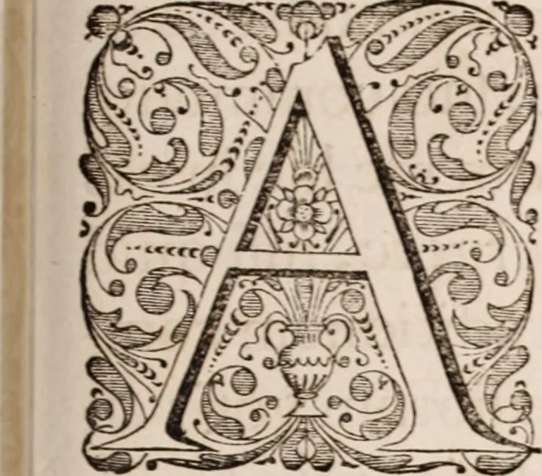An illustration from Adriani Spigelii Bruxellensis, 1645, leaf 348