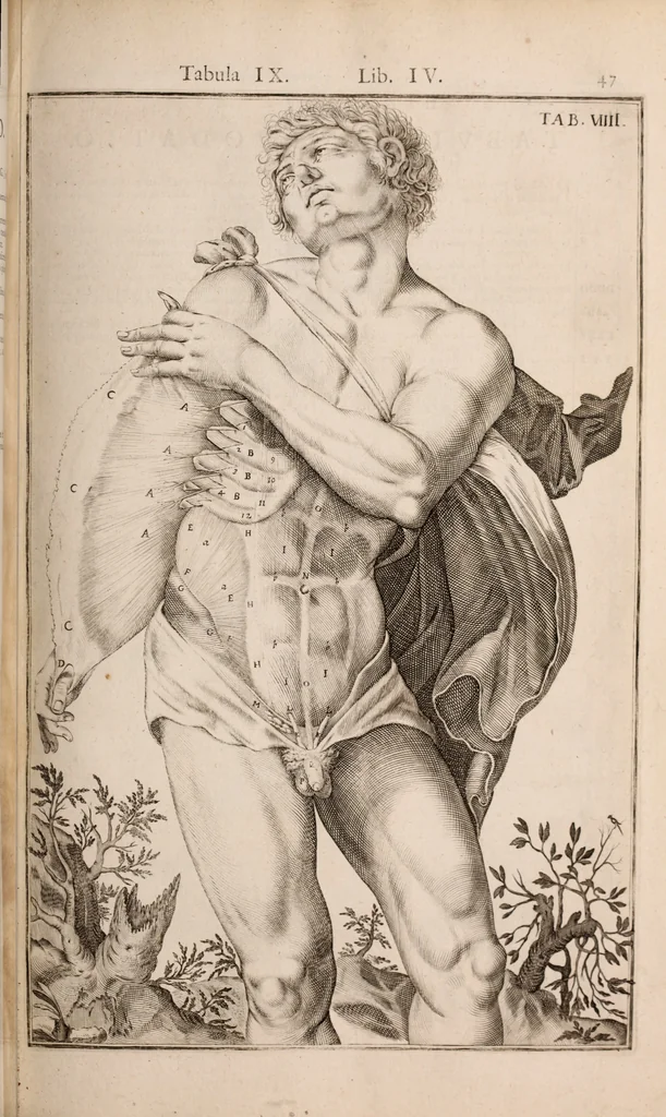 An illustration from Adriani Spigelii Bruxellensis, 1645, leaf 392