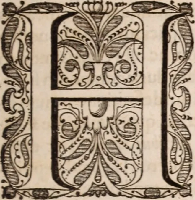 An illustration from Adriani Spigelii Bruxellensis, 1645, leaf 48