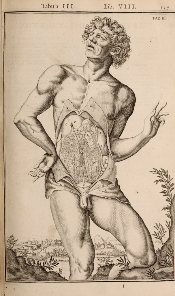 An illustration from Adriani Spigelii Bruxellensis, 1645, leaf 482
