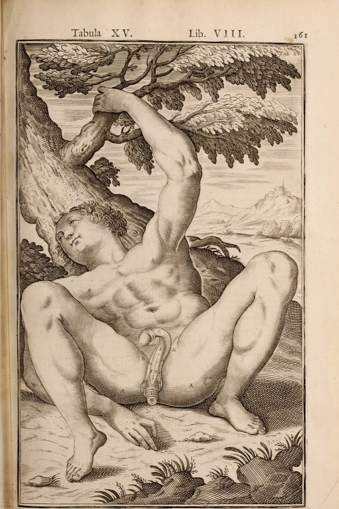 An illustration from Adriani Spigelii Bruxellensis, 1645, leaf 506