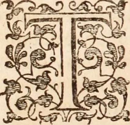 An illustration from Adriani Spigelii Bruxellensis, 1645, leaf 51