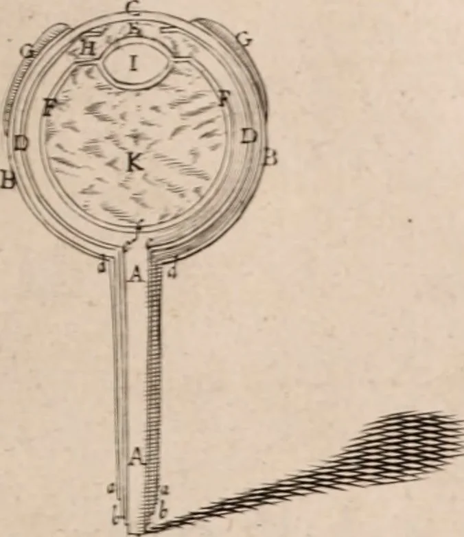 An illustration from Adriani Spigelii Bruxellensis, 1645, leaf 544