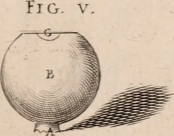 An illustration from Adriani Spigelii Bruxellensis, 1645, leaf 544