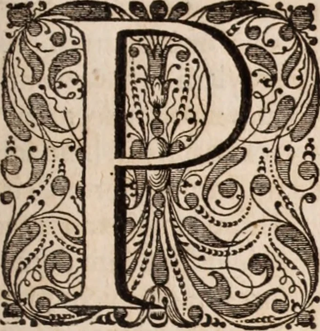 An illustration from Adriani Spigelii Bruxellensis, 1645, leaf 550