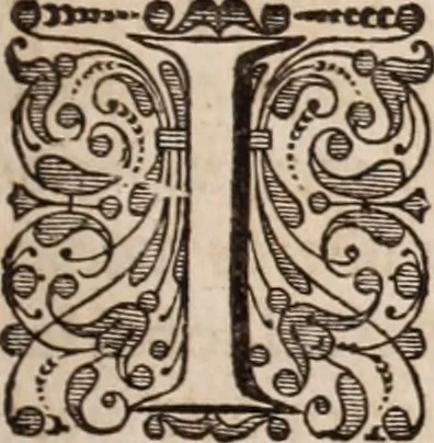 An illustration from Adriani Spigelii Bruxellensis, 1645, leaf 550