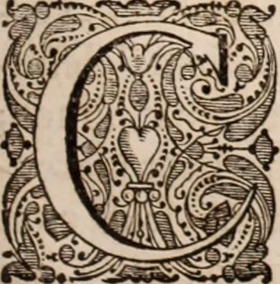 An illustration from Adriani Spigelii Bruxellensis, 1645, leaf 550