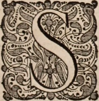 An illustration from Adriani Spigelii Bruxellensis, 1645, leaf 552