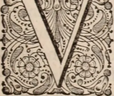 An illustration from Adriani Spigelii Bruxellensis, 1645, leaf 554