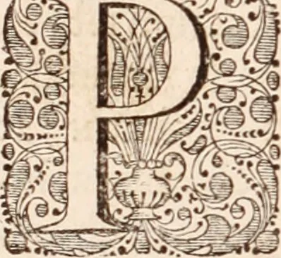 An illustration from Adriani Spigelii Bruxellensis, 1645, leaf 555