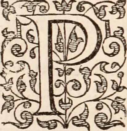 An illustration from Adriani Spigelii Bruxellensis, 1645, leaf 555
