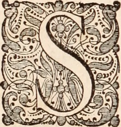 An illustration from Adriani Spigelii Bruxellensis, 1645, leaf 563