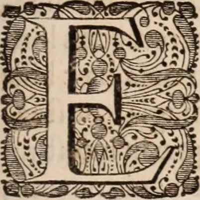 An illustration from Adriani Spigelii Bruxellensis, 1645, leaf 564