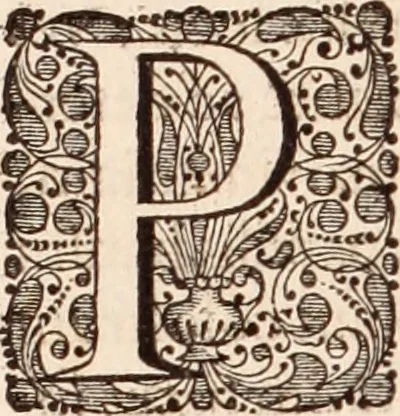 An illustration from Adriani Spigelii Bruxellensis, 1645, leaf 567
