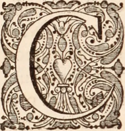 An illustration from Adriani Spigelii Bruxellensis, 1645, leaf 567