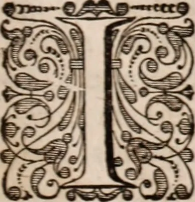 An illustration from Adriani Spigelii Bruxellensis, 1645, leaf 568