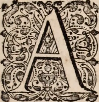 An illustration from Adriani Spigelii Bruxellensis, 1645, leaf 576
