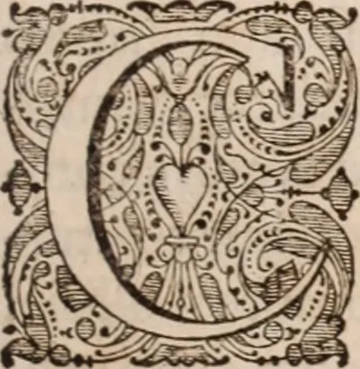 An illustration from Adriani Spigelii Bruxellensis, 1645, leaf 58