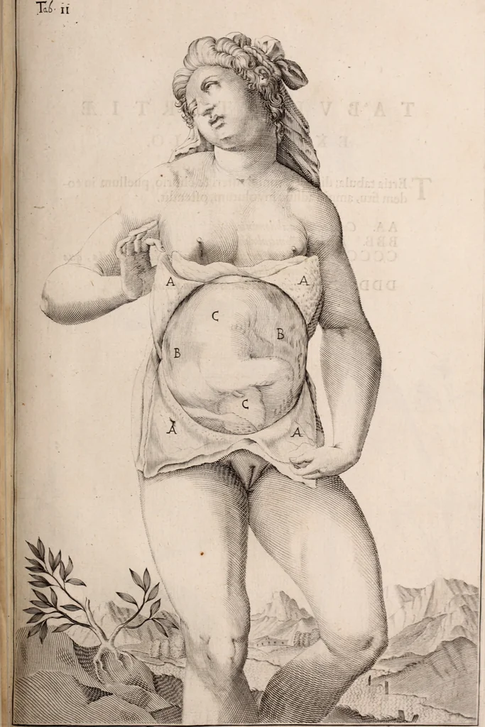 An illustration from Adriani Spigelii Bruxellensis, 1645, leaf 582