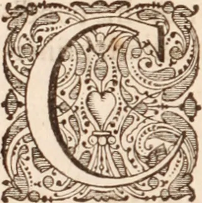 An illustration from Adriani Spigelii Bruxellensis, 1645, leaf 59