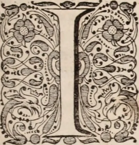 An illustration from Adriani Spigelii Bruxellensis, 1645, leaf 604