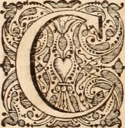 An illustration from Adriani Spigelii Bruxellensis, 1645, leaf 61