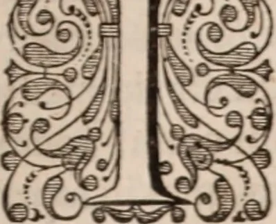 An illustration from Adriani Spigelii Bruxellensis, 1645, leaf 64