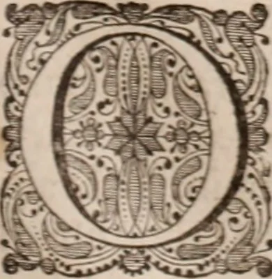 An illustration from Adriani Spigelii Bruxellensis, 1645, leaf 64