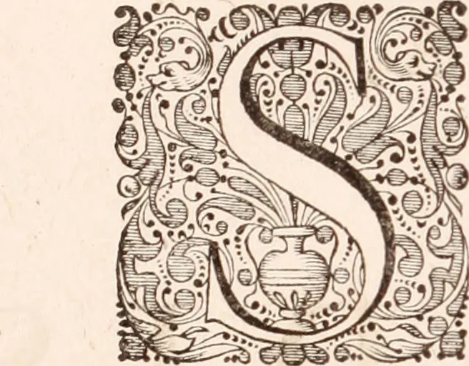 An illustration from Adriani Spigelii Bruxellensis, 1645, leaf 649