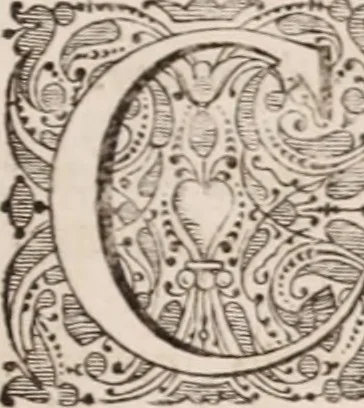 An illustration from Adriani Spigelii Bruxellensis, 1645, leaf 654