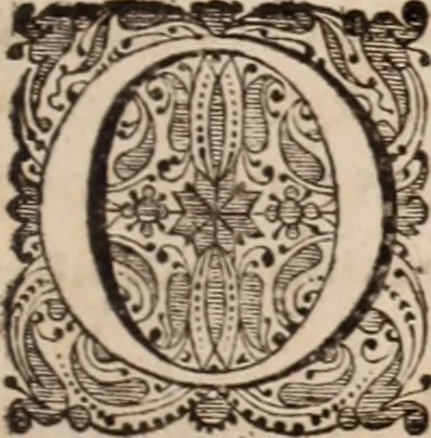 An illustration from Adriani Spigelii Bruxellensis, 1645, leaf 66