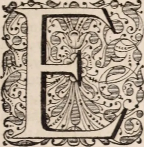 An illustration from Adriani Spigelii Bruxellensis, 1645, leaf 678