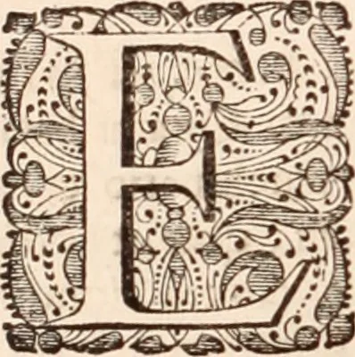 An illustration from Adriani Spigelii Bruxellensis, 1645, leaf 693