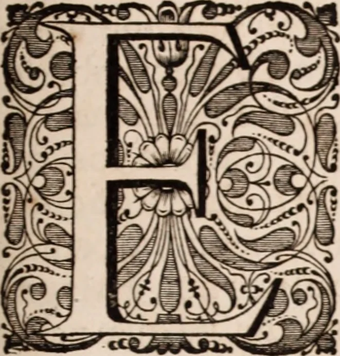 An illustration from Adriani Spigelii Bruxellensis, 1645, leaf 708