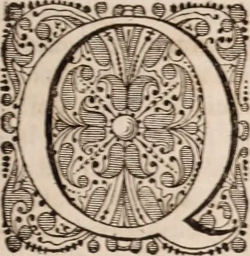 An illustration from Adriani Spigelii Bruxellensis, 1645, leaf 726