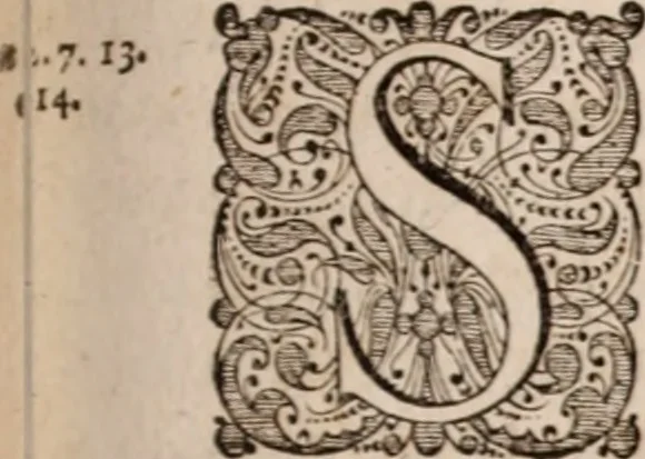 An illustration from Adriani Spigelii Bruxellensis, 1645, leaf 74