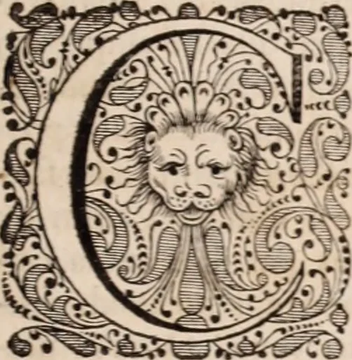An illustration from Adriani Spigelii Bruxellensis, 1645, leaf 742