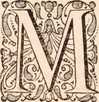 An illustration from Adriani Spigelii Bruxellensis, 1645, leaf 771