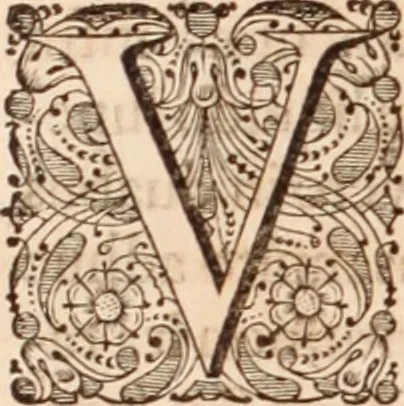 An illustration from Adriani Spigelii Bruxellensis, 1645, leaf 79