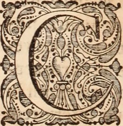 An illustration from Adriani Spigelii Bruxellensis, 1645, leaf 79