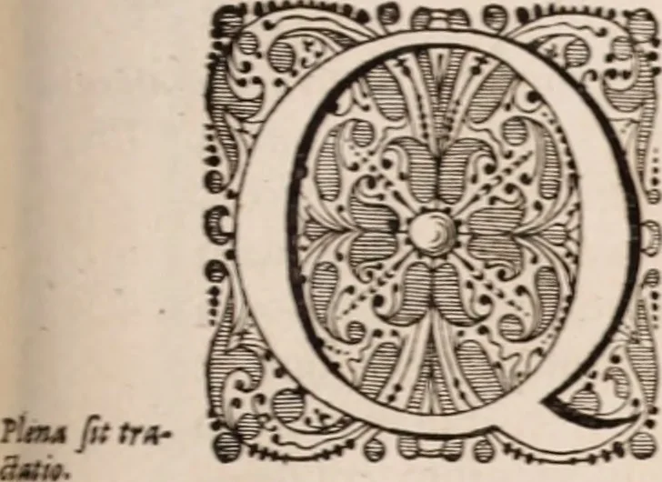 An illustration from Adriani Spigelii Bruxellensis, 1645, leaf 798