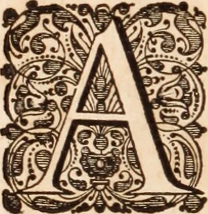 An illustration from Adriani Spigelii Bruxellensis, 1645, leaf 81