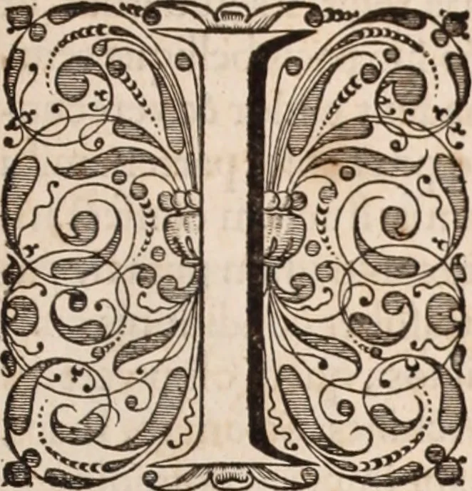 An illustration from Adriani Spigelii Bruxellensis, 1645, leaf 824