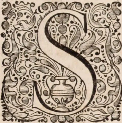 An illustration from Adriani Spigelii Bruxellensis, 1645, leaf 826