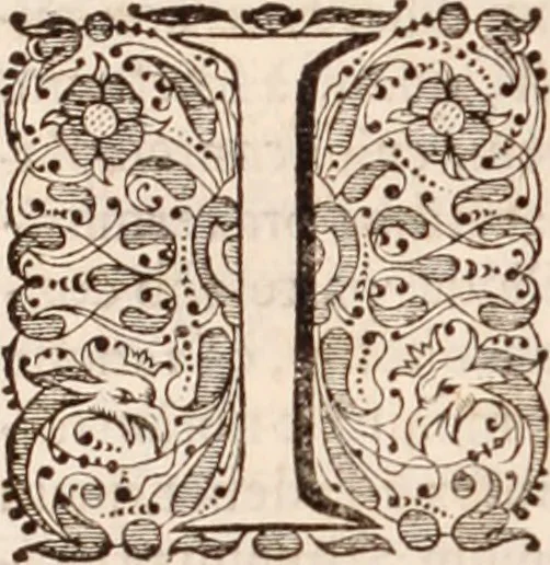 An illustration from Adriani Spigelii Bruxellensis, 1645, leaf 863