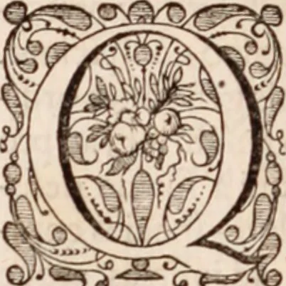 An illustration from Adriani Spigelii Bruxellensis, 1645, leaf 863